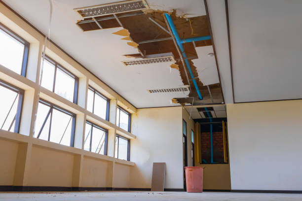 Best Professional water damage repair  in Dakota City, NE