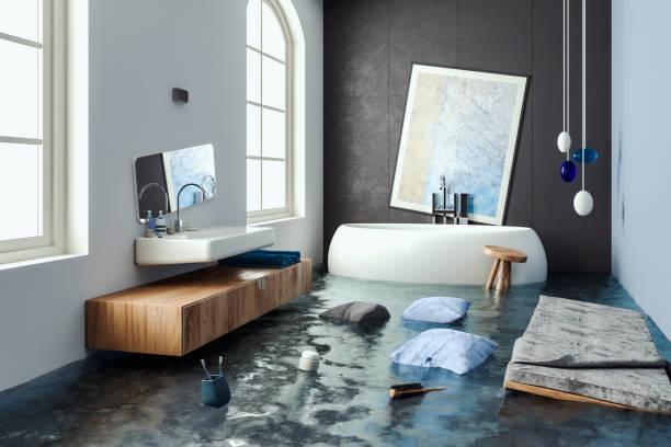 Best Emergency water damage restoration  in Dakota City, NE