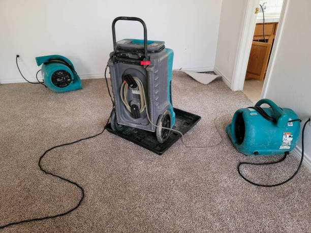 Best Professional water damage repair  in Dakota City, NE