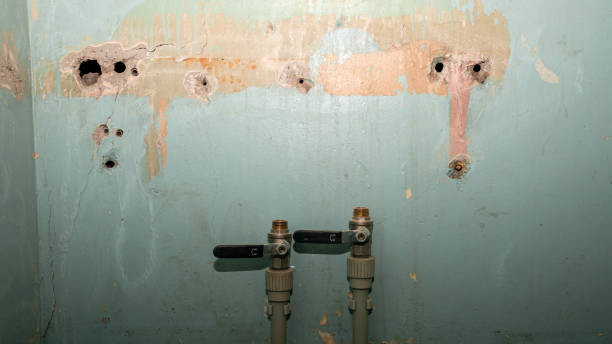 Best Commercial water damage restoration  in Dakota City, NE