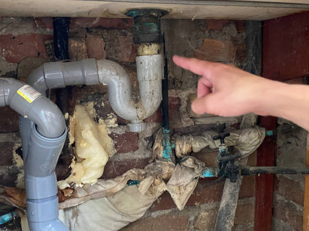 Best Fire Damage Restoration  in Dakota City, NE