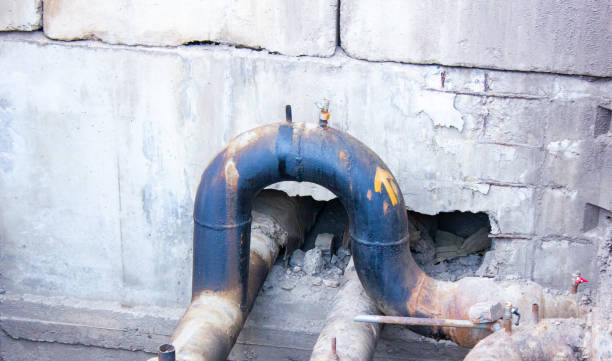 Best Basement water damage restoration  in Dakota City, NE